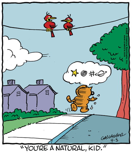 heathcliff